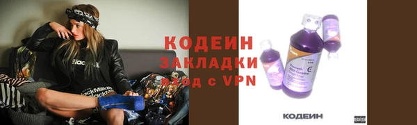стаф Белокуриха