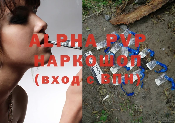 стаф Белокуриха