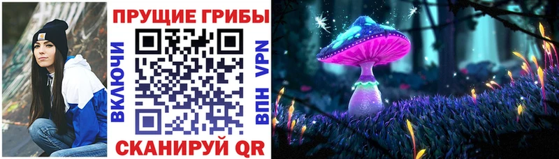 Псилоцибиновые грибы Cubensis  блэк спрут маркетплейс  Армавир  наркотики 